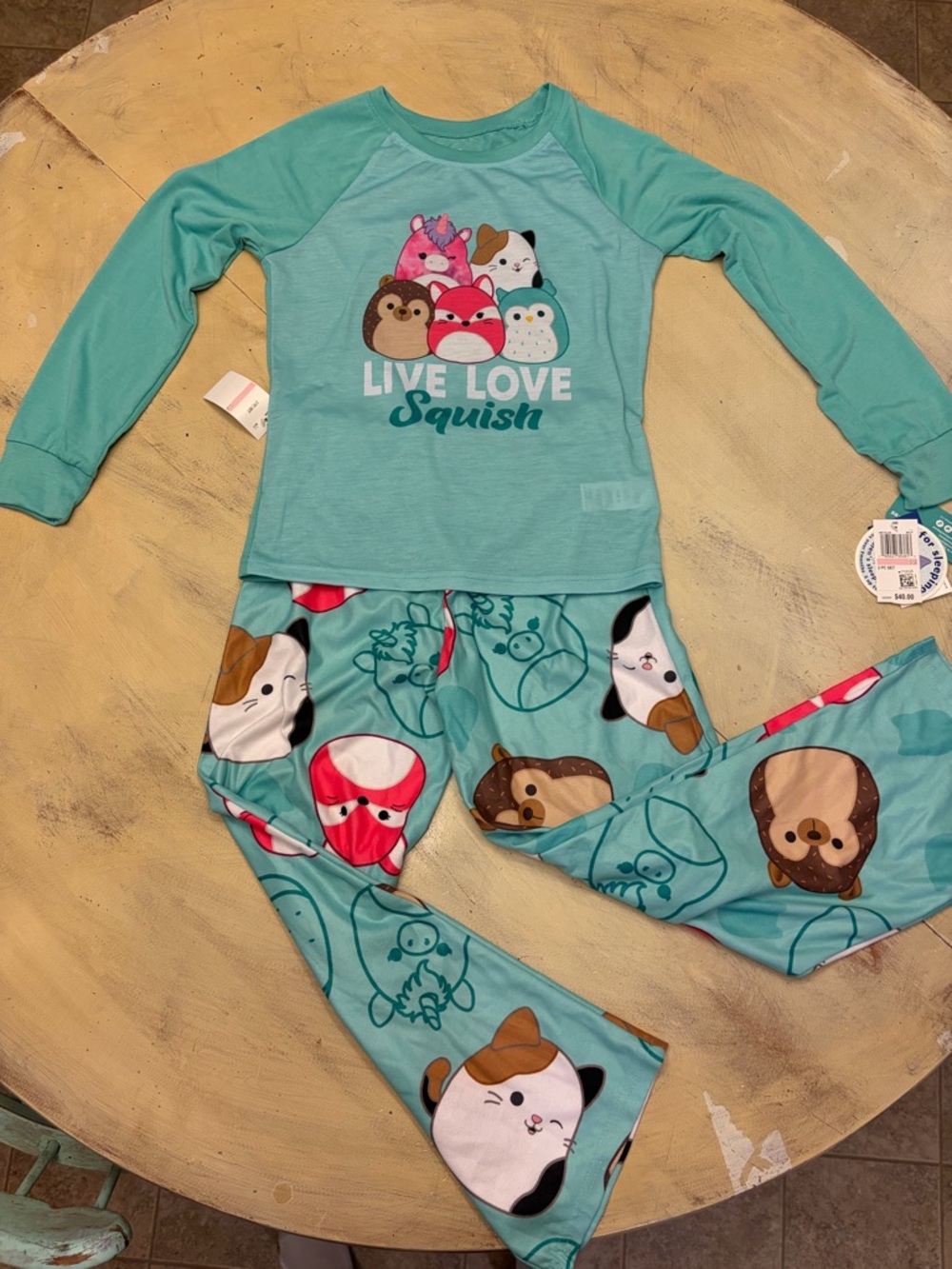 Squishmallows Girls Pajamas Set Size 10 Youth Shirt Pants Cat Dog NWT